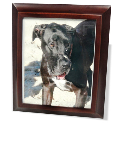Superior Large Wooden Urn with Frame S1 including cremation - for pets up to 40kg